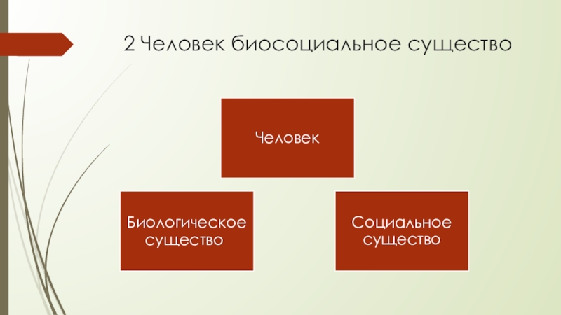 Человек является биосоциальным существом поэтому