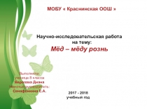 Презентация по химии на тему Качественный анализ меда
