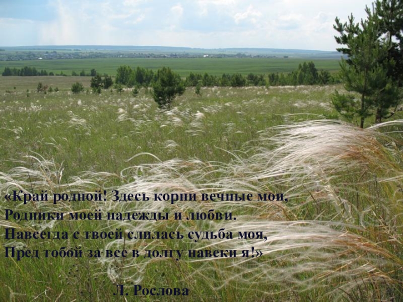 Родной здесь. Стог полыни. В раскинувшемся Раздолье. На широком поле во широком Раздолье 77 и стоят. Выйду широкое поле.