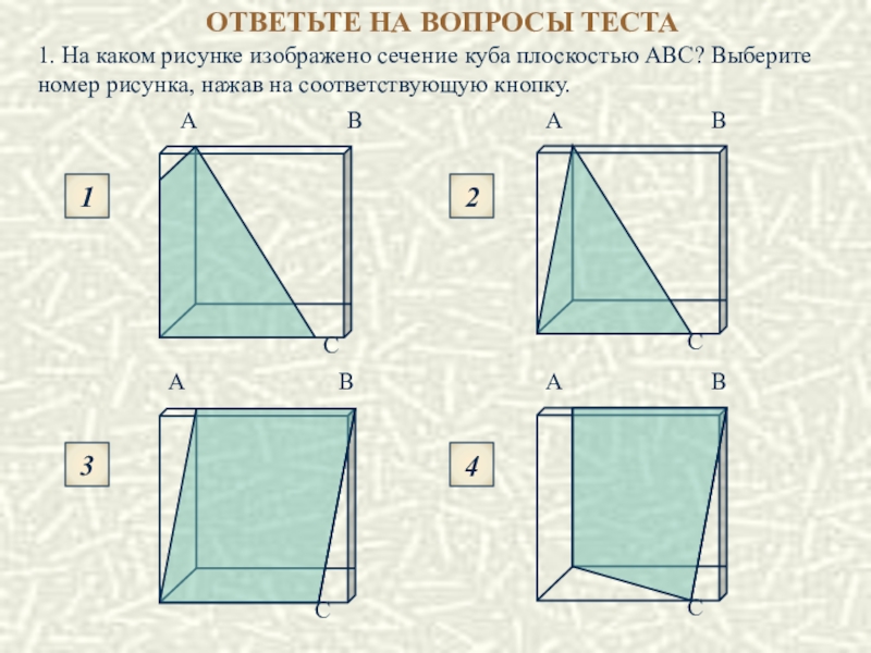 На рисунке изображено сечение