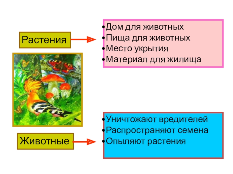 Невидимые нити урок презентация