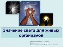 Презентация по биологии на тему Значение света для живых организмов (8 класс)