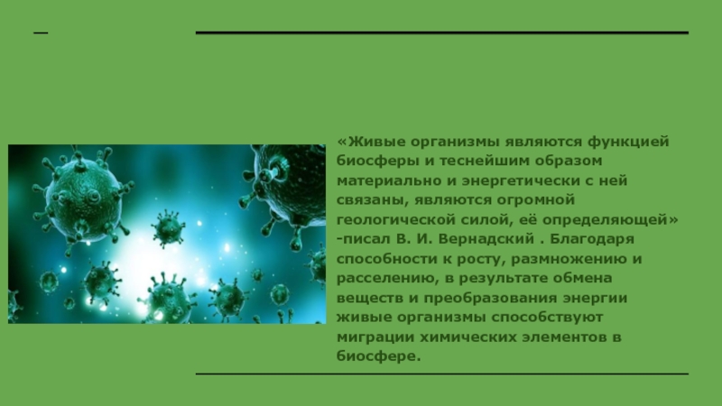 Составьте развернутый план параграфа биология 8 класс роль живых организмов в биосфере