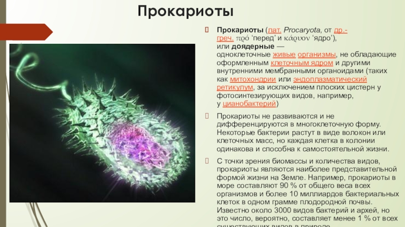 Прокариоты биология 5. Доядерные одноклеточные организмы. Прокариоты. Доядерные организмы прокариоты. Прокариоты это в биологии.