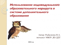 Использование индивидуального образовательного маршрута в системе дополнительного образования