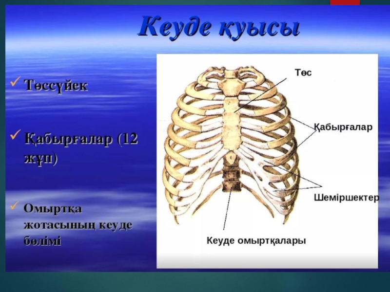 Кеуде жарақаттары презентация