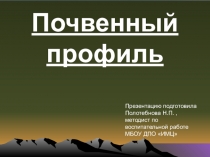 Презентация по биологии на тему Почвенный профиль