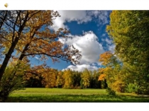 Презентация по познавательному развитию  По следам осени.Старшая группа.