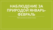 Презентация по биологии на тему Наблюдение за природой-птицы нашего края (6 класс)