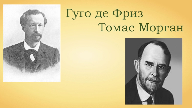 Хуго де фриз. Ученый г де фриз. Гуго фриз Томас Морган. Гуго де фриз и биология. Хуго де фриз портрет.