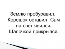 Презентация по окружающему миру Удивительное царство грибов