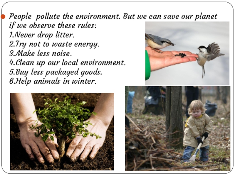 We are doing our. Save our Planet презентация. Проект save our environment. What should we do to save our Planet. Help-save-the-environment.