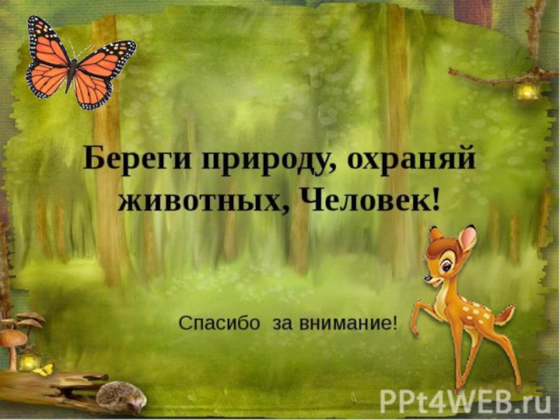 Спасибо за внимание берегите природу картинки для презентации