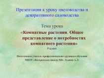 Презентация по цветоводству Комнатные растения. Общее представление о потребностях комнатного растения