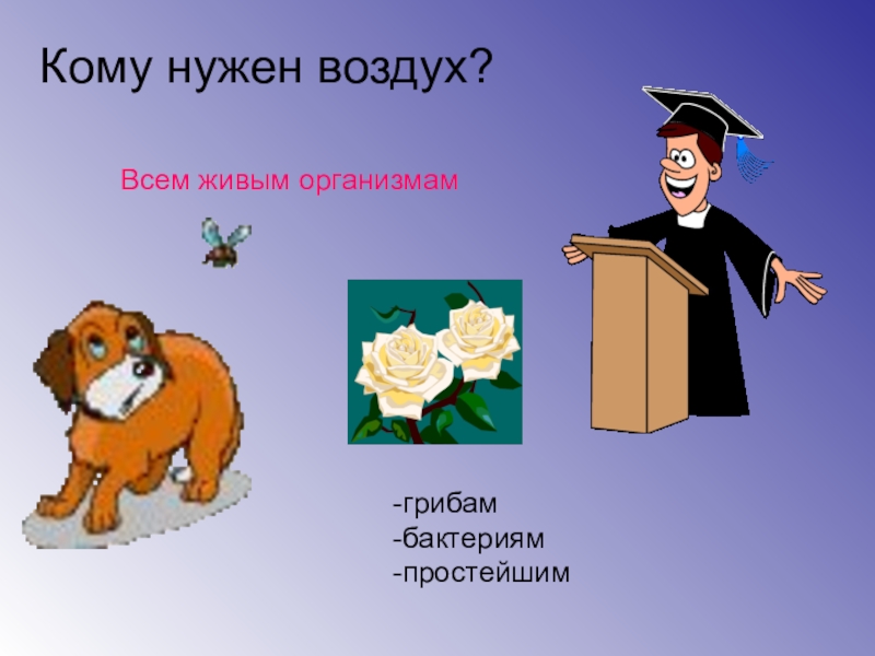 Для чего нужен воздух. Кому нужен воздух. Воздух нужен всему живому. Картинки кому нужен воздух. Кому нужен воздух картинки для детей.