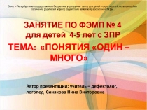 Презентация. Занятие по ФЭМП детей 4-5 лет с ЗПР на тему ПОНЯТИЯ ОДИН – МНОГО
