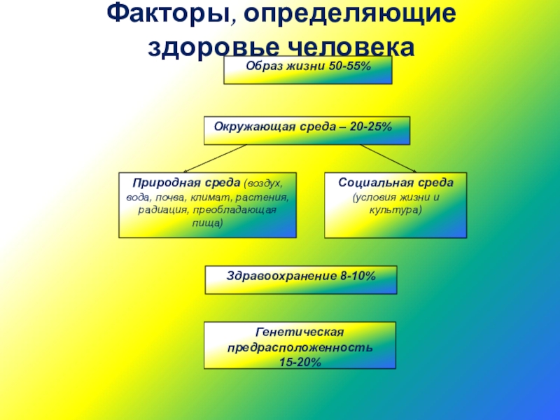 Социальные факторы определяющие здоровье человека