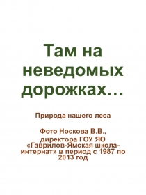 Презентация Там на неведомых дорожках...