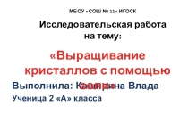 Презентация Выращивание кристаллов с помощью соли