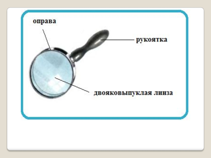 Устройство увеличительных приборов 5 класс биология презентация