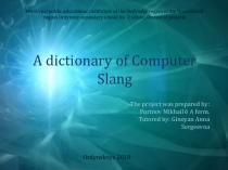 Презентация проект на тему Computer slang