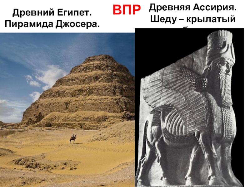 Картинки история 5 класс