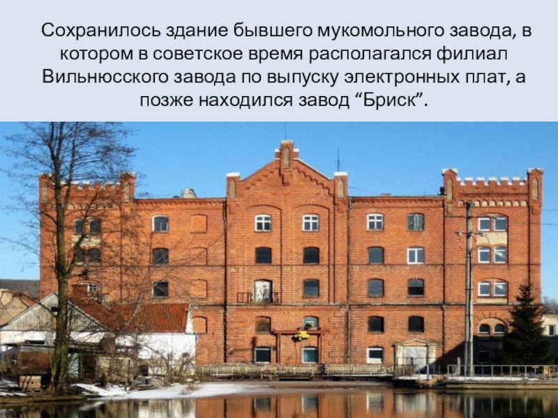 Сохранилось здание бывшего мукомольного завода, в котором в советское время располагался филиал Вильнюсского завода по выпуску электронных