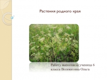 Презентация по биологии на тему Классификация растений