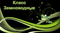 Презентация по биологии Класс Земноводные. Внешнее строение.