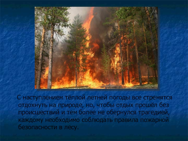 Наступление тепла. Лесные пожары ОБЖ. Природные пожары ОБЖ Лесные и. Сообщение на тему природные пожары. Природные пожары ОБЖ 7 класс.