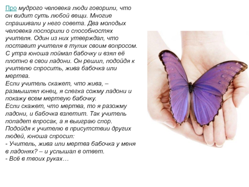 Какая бабочка песня. Притча о бабочке. Притча про бабочку все. Притча о бабочке в руках. Притча мотылек.