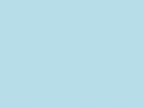 Презентация для внеурочного занятия на тему: Животные леса