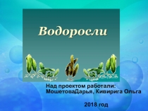 Презентация по биологии 5 класс Водоросли
