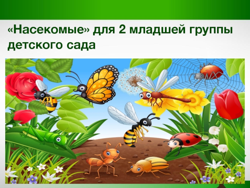 Презентация для детей подготовительной группы на тему насекомые