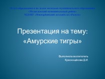 Презентация по ознакомлению с окружающим миром: Амурские тигры