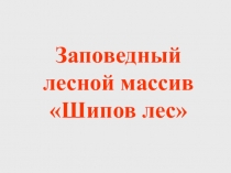 Презентация по биологии Шипов лес