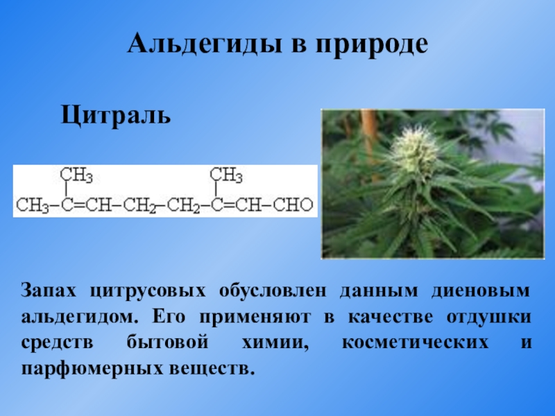 Альдегиды презентация по химии