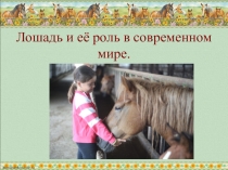 Презентация к исследовательскому проекту Лошади в современном мире
