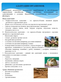 Практическая работа Адаптации организмов (11 класс)