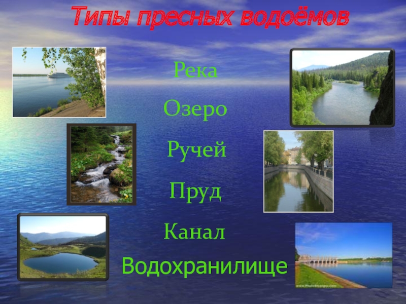 Окружающий мир озера реки тест. Водоемы окружающий мир. Жизнь пресного водоема. Типы водоемов. Природные водоемы название.