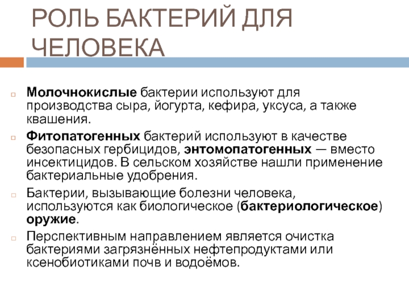 РОЛЬ БАКТЕРИЙ ДЛЯ ЧЕЛОВЕКАМолочнокислые бактерии используют для производства сыра, йогурта, кефира, уксуса, а также квашения.Фитопатогенных бактерий используют