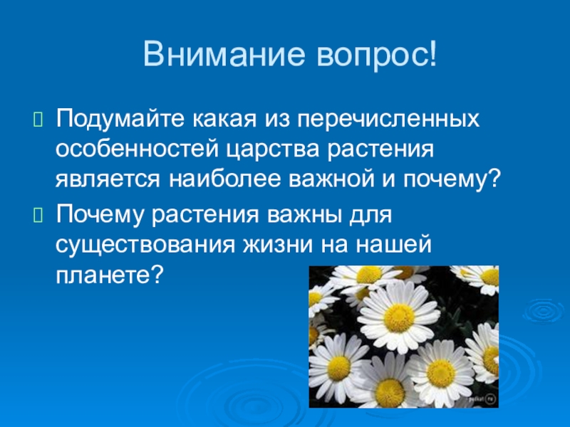 Что из перечисленного является наиболее. Почему растения важны для жизни. Почему растения важны нашей планете. Почему растения важны для существования жизни на нашей планете. Растения для жизни на нашей планете.