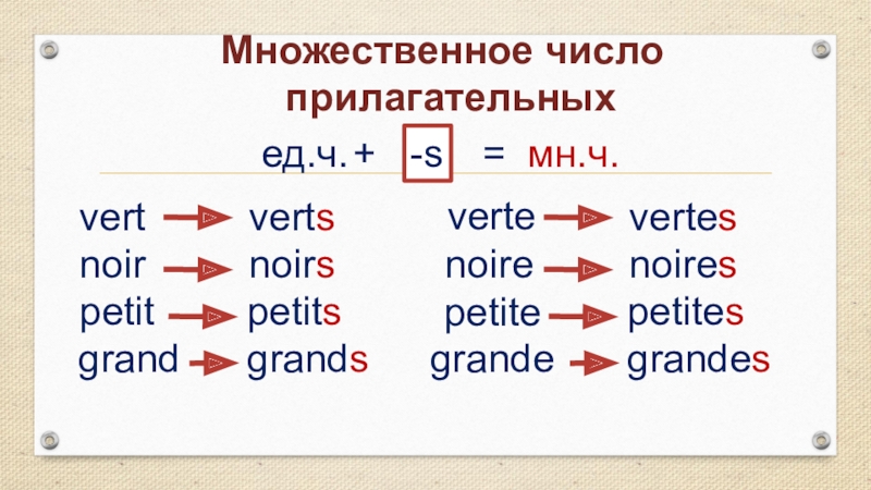 Множественные прилагательные