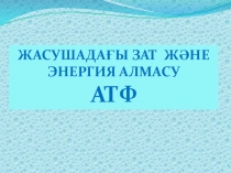 Презентация Жасушадағы зат және энергия алмасу АТФ