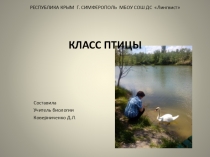 Презентация к уроку биологии в 7 классе по теме Птицы