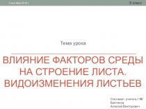 Презентация по биологии на тему Влияние факторов среды на строение листа. Видоизменения листьев 6 класс