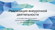 Внеурочная деятельность на примере программы общеинтеллектуального направления Логическая лестница