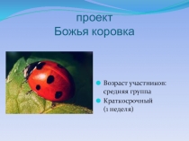 Презентация по проекту  Божья коровка