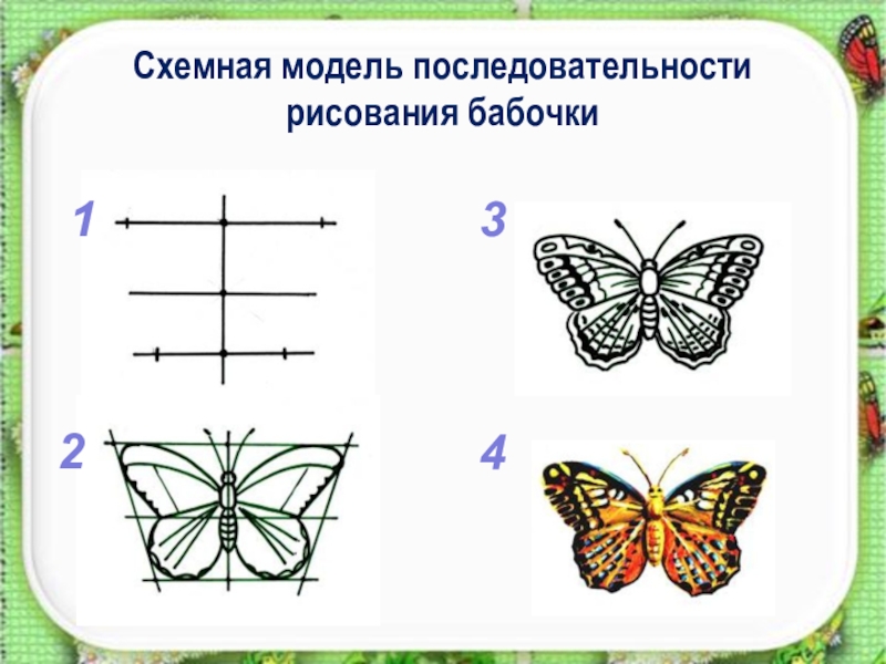 Бабочка симметрия рисунок