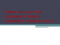 Презентация по окружающему миру